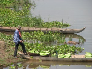 This man brought a boatload of produce from the island fields to the village one morning.